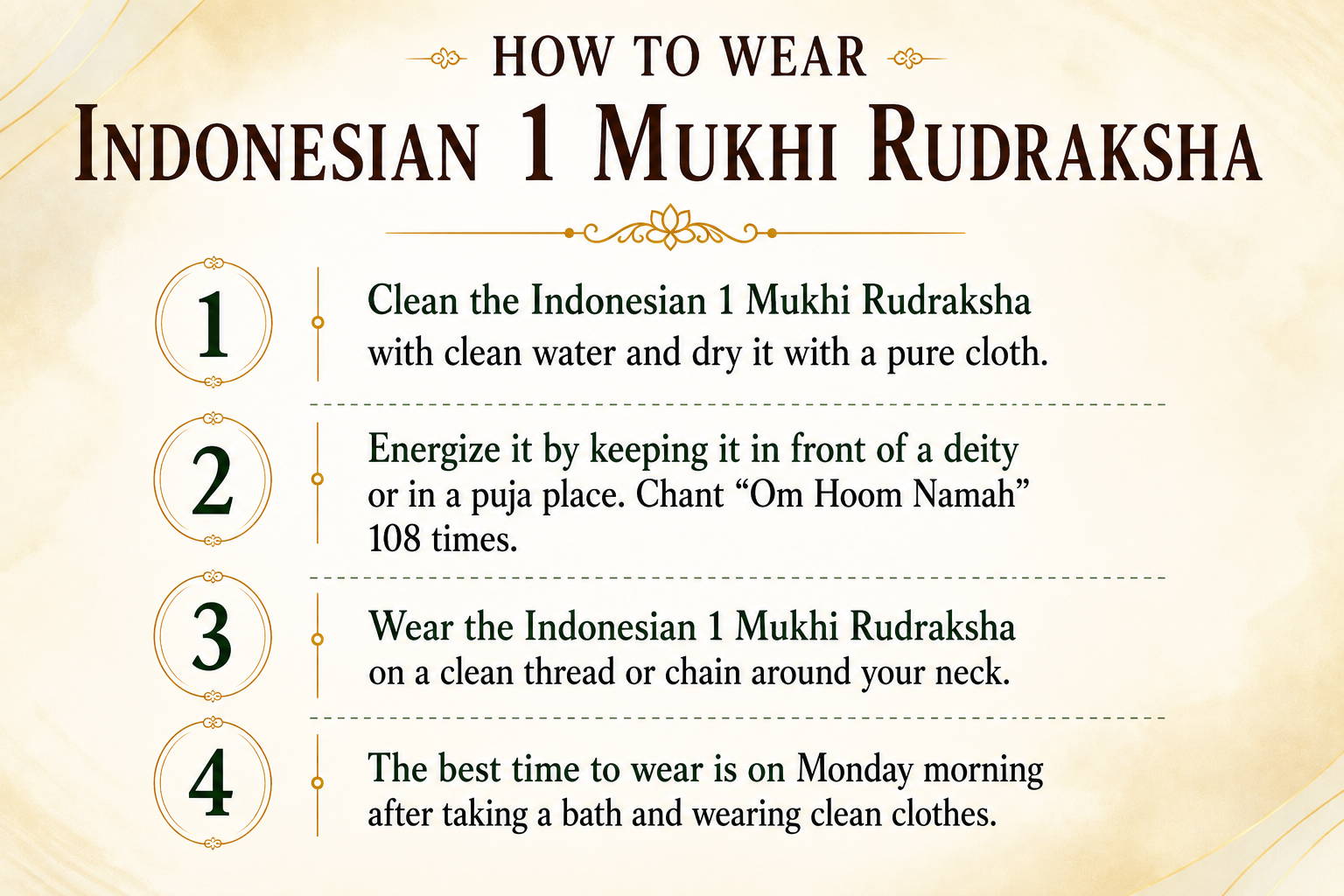1 Mukhi Rudraksha ( Indonesian Origin)